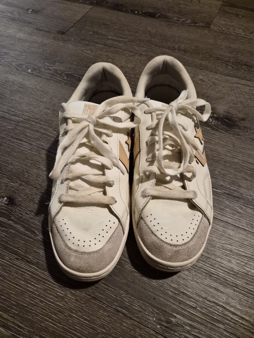 Converse Pro Blaze Classic "Coastal Dune" – Size 10.5 – Clean!